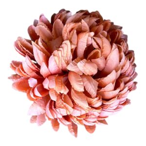 Chryzantema Ananas Premium  koralowa – 14 cm - 6 szt.
