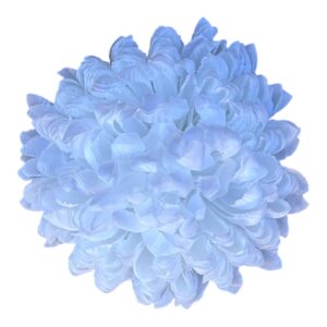 Chryzantema Ananas Premium  Biała – 14 cm - 6 szt.