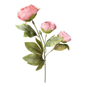 Kamelka na gałązce koralowy – 54 cm - 1 szt.