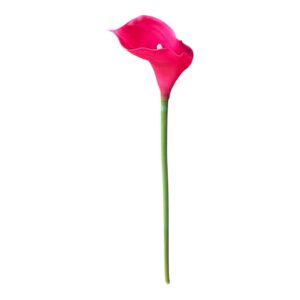 Kalia Calla silikonowa 70 cm  Magenta - 1 szt.