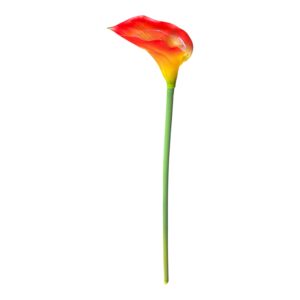 Kalia silikonowa ognisty pomarańcz z muśnięciem czerwieni 70 cm - 1 szt.
