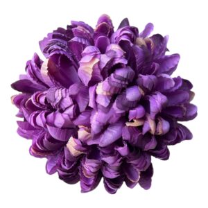 Chryzantema Ananas Premium  śliwkowy fiolet  14 cm - 6 szt.