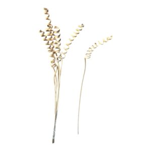 Cane Spring 65 cm – dekoracyjny dodatek florystyczny - 24 szt.