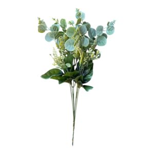 Eukaliptus kolorowy Pik 51 cm natural - 6 szt.