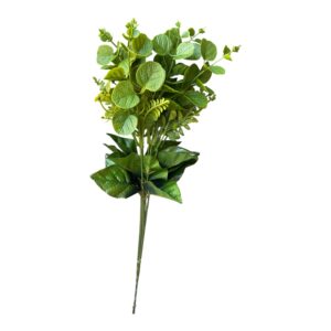Eukaliptus kolorowy Pik 51 cm  zielony - 6 szt.