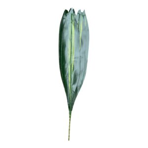 Dracena Gumowana z Jasnym Środkiem 61 cm LIME AURORA - 12 szt.