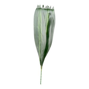 Dracena Gumowana 61 cm EMERALD  GOLD- 12 szt.