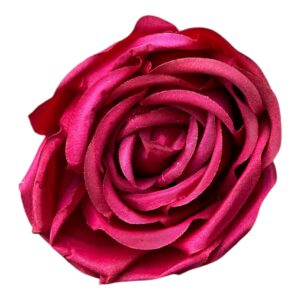 Róża Angielska Wyrobowa 8 cm amarant - 12 szt.