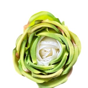 Róża Angielska Wyrobowa 8 cm  zielony z  kremem - 12 szt.
