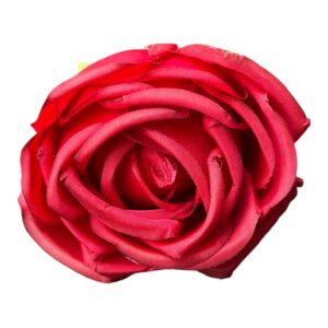 Róża Angielska Wyrobowa 8 cm czerwona - 12 szt.