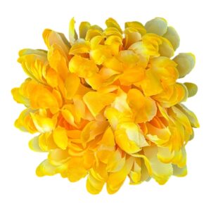 Chryzantema Ananas 13 cm  żółta –  6 szt.