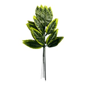 Mango liść 56 cm Lime – 12 szt