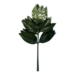 Mango  liść 56 cm  Classic –  12 szt