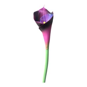 Kalia silikonowa 70 cm M2  – śliwkowy fiolet  – 1 szt.