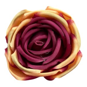 Róża Angielska Wyrobowa 8 cm amarant z brzoskwinią  - 12 szt.