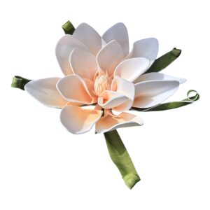 Magnolia piankowa Sunset wys. 30 cm (kwiat 25x10 cm) Brzoskwiniowa - 1 szt.