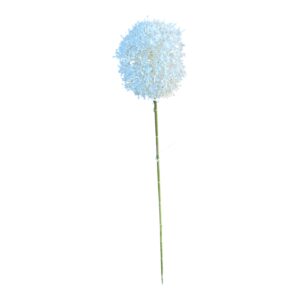Kwiat CZOSNEK olbrzymi Biały wys. 66 cm (główka 13x13 cm) - 1 szt.