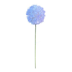 Kwiat CZOSNEK olbrzymi Jasny fiolet wys. 66 cm (główka 13x13 cm) - 1 szt.