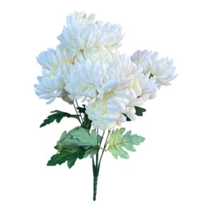 Bukiet Chryzantema  biała śmietanka wys. 55 cm, 7 łodyg (7 kwiatów 14x5 cm) - 1 szt.