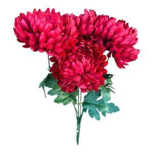 Bukiet Chryzantema  czerwona wys. 55 cm, 7 łodyg (7 kwiatów 14x5 cm) - 1 szt.