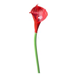 Kalia silikonowa 70 cm – ciemna czerwień  – 1 szt.