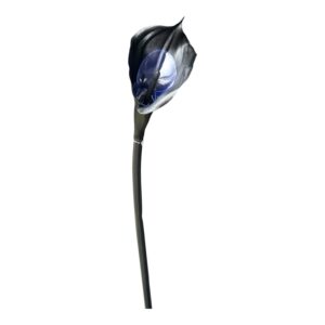 Kalia silikonowa 70 cm – Czarna – 1 szt.