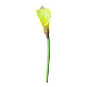 Kalia silikonowa 70 cm – Limonkowa – 1 szt.