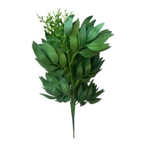 Ruskus 50 cm zielony  – 12 szt.