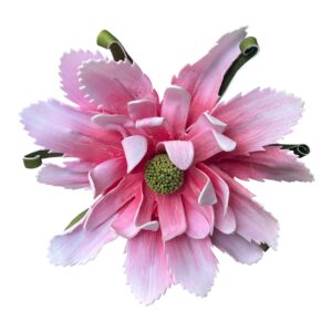 Magnolia piankowa GWIAŹDZISTA wys. 30 cm (kwiat 35 cm) różowa - 1 szt.