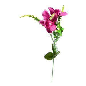 Storczyk Cymbidium fuksja – 39 cm 1 szt.