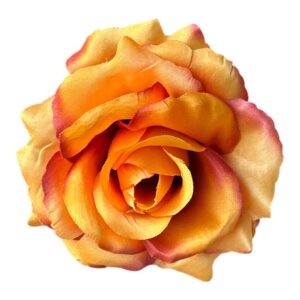 Róża wyrobowa NS – jesienny pomarańcz – 10 cm – 1 szt.