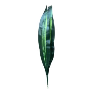 Dracena Gumowana PRESTIGE LINE - 12 szt.