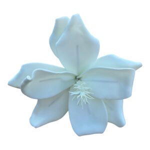 Magnolia piankowa S 17 cm biała- ecru - 1 szt.
