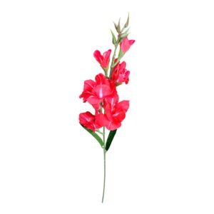Mieczyk Premium line 95 cm czerwony 1 szt.