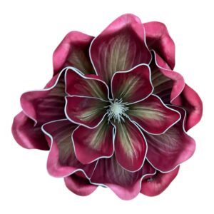 Magnolia Piankowa Royal Premium 20 cm wyrobowa bordowa- 1 szt.