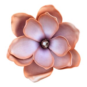 Magnolia Piankowa Royal 17  cm wyrobowa  brązowy - 1 szt