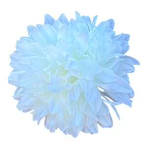 Chryzantema wyrobowa główka 13 cm biała- 12 szt.