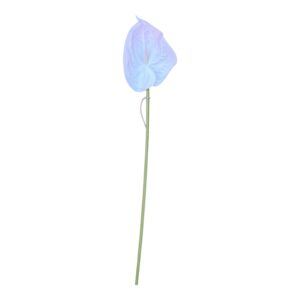 Anturium piankowe  VIP 64 cm białe z delikatnym różem- 1 szt