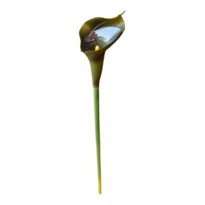 Kalia silikonowa 70 cm M2 – ciemny zielony – 1 szt.