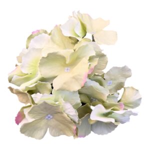 Hortnesja wyrobowa 17 cm - jasna limonkowa 1 szt.