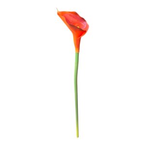 Kalia silikonowa 70 cm M2 – pomarańczowy– 1 szt.